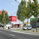 Végétalisation